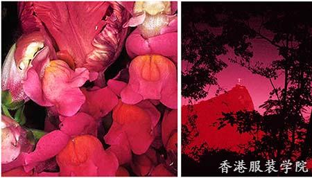 2018春夏色彩流行趨勢(shì)預(yù)測(cè)：拉丁美洲色彩之盛夏的狂歡(圖7)