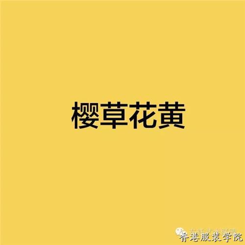 色彩趨勢(shì)：看時(shí)裝大牌怎么詮釋2017十大流行色！(圖11)