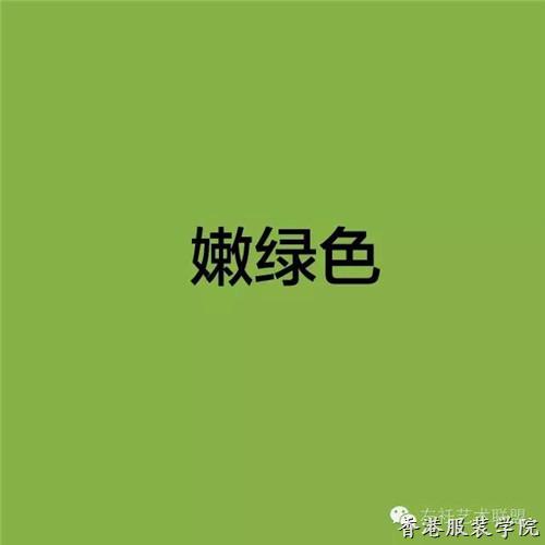 色彩趨勢(shì)：看時(shí)裝大牌怎么詮釋2017十大流行色,！(圖30)