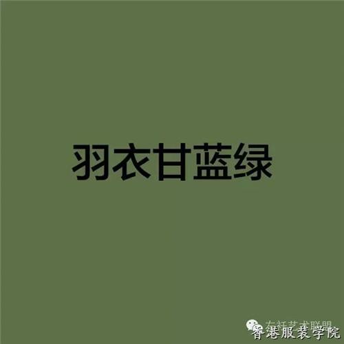 色彩趨勢(shì)：看時(shí)裝大牌怎么詮釋2017十大流行色！(圖37)